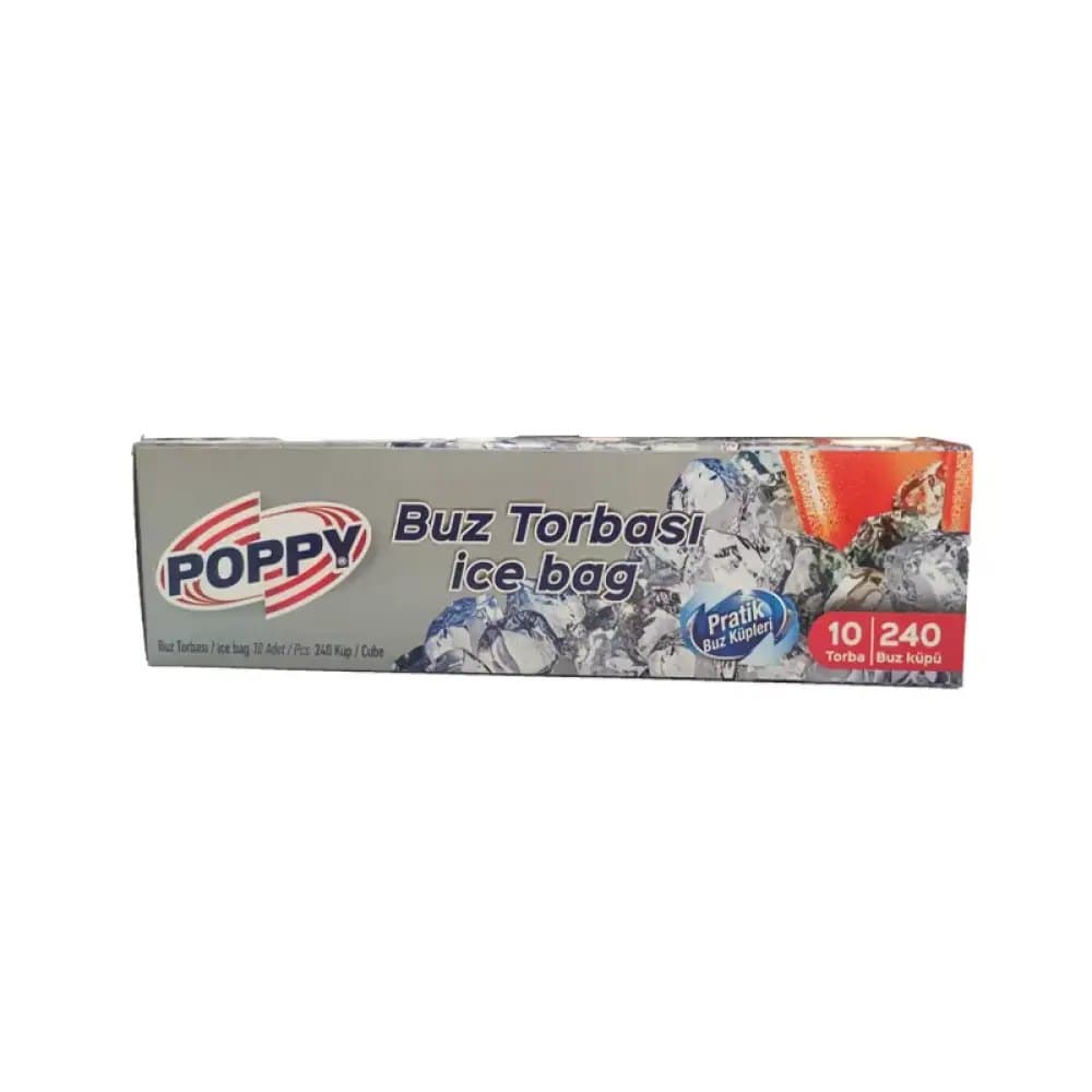 BUZ TORBASI